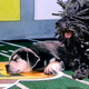 Illustration for article titled Polamaluesque Puppy Dominates Puppy Bowl